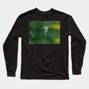 A Spider Weaves Its Web Long Sleeve T-Shirt